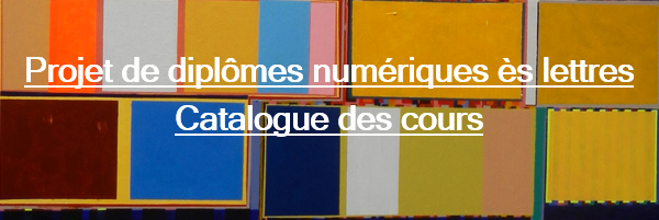 Lien Catalogue des cours