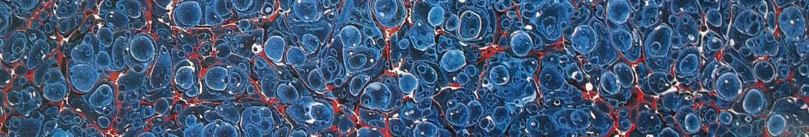 Marbre caillouté agate Marbre caillouté agate